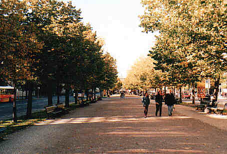 Selber laufen macht fit...