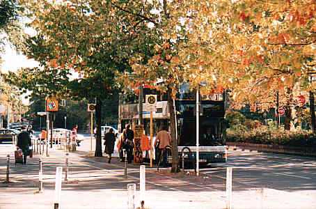 Herbstliche Haltestelle