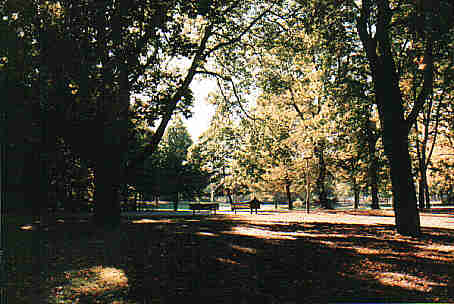 Morgenstimmung im Park...