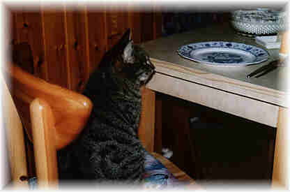 wir warten auf das Essen...