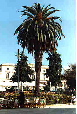 Sch&ouml;nes Wetter in Kerkyra