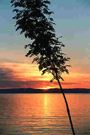 Wenn die Nacht hereinbricht...